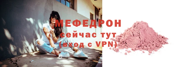 spice Богородицк