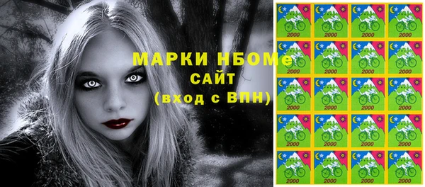 spice Богородицк