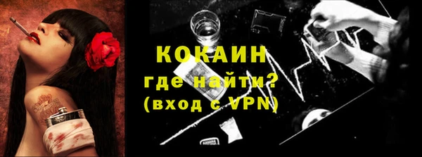 spice Богородицк
