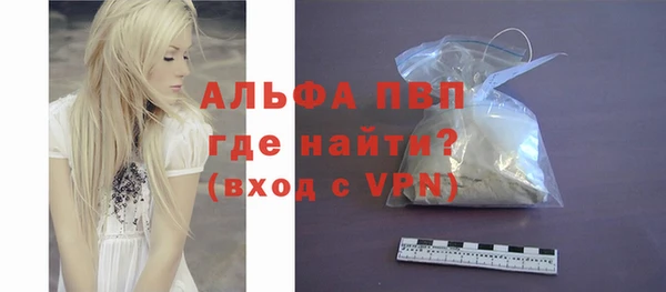 spice Богородицк
