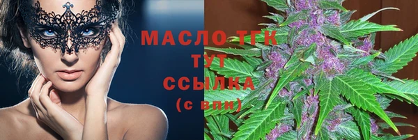 spice Богородицк