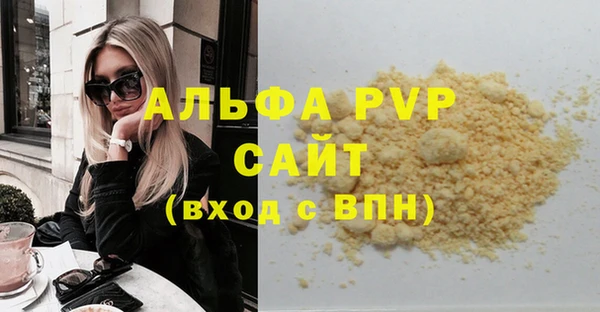 spice Богородицк
