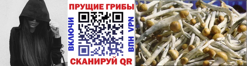 Галлюциногенные грибы Psilocybine cubensis  KRAKEN зеркало  Стерлитамак  хочу  